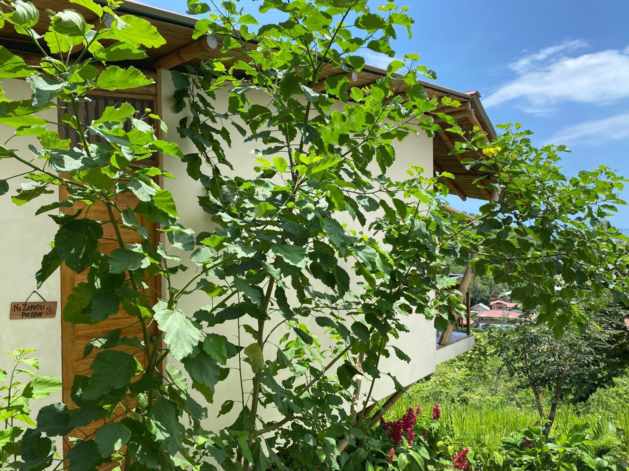 Bungalows Ayampe Apartment *