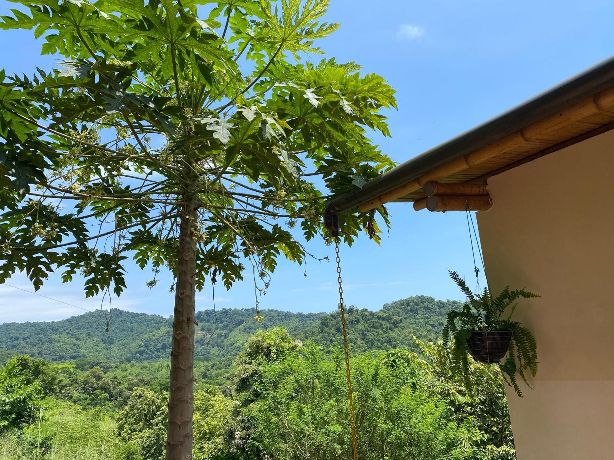 Bungalows Ayampe * Ayampe